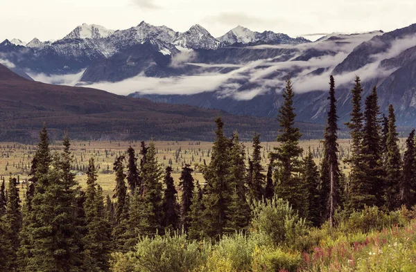 夏天的阿拉斯加风景如画的山脉 覆盖着大块的雪 冰川和岩石的山峰 美丽的自然背景 — 图库照片