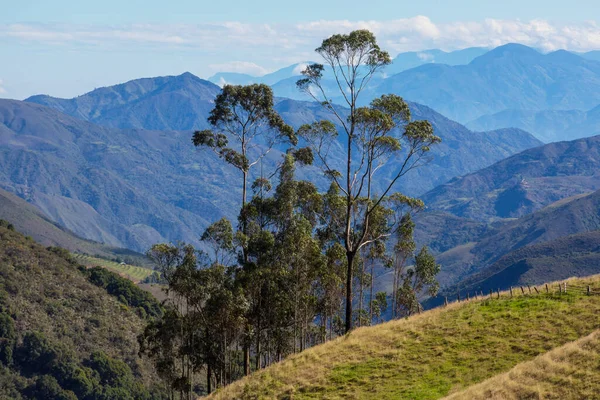 Piękne Wysokie Góry Kolumbii — Zdjęcie stockowe