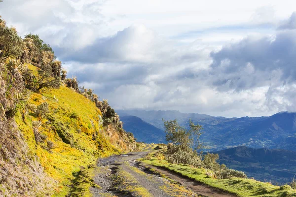 Jalan Berpemandangan Pegunungan Latar Belakang Perjalanan — Stok Foto