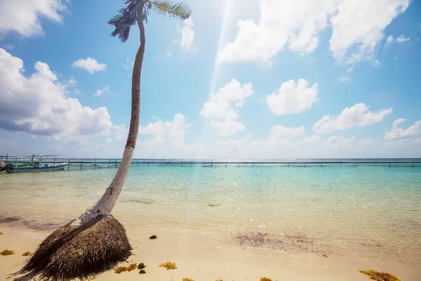 Prachtige Zomerlandschappen Het Tropische Strand Vakantie Achtergrond — Stockfoto