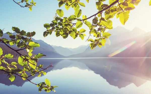 Beau Lac Bowman Avec Reflet Des Montagnes Spectaculaires Dans Parc — Photo