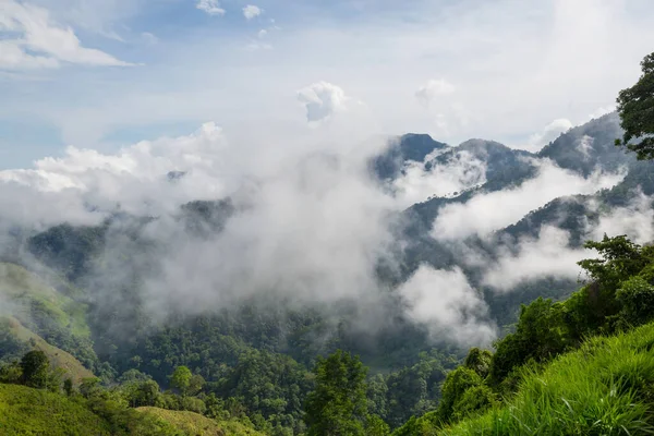 Misty Green Cordillera Montanhas Colômbia América Sul — Fotografia de Stock