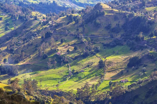 Yeşil Kolombiya Dağlarındaki Kırsal Alanlar — Stok fotoğraf