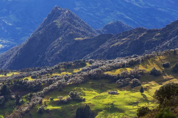 Rural Landscapes Green Colombian Mountains — Stock Photo, Image