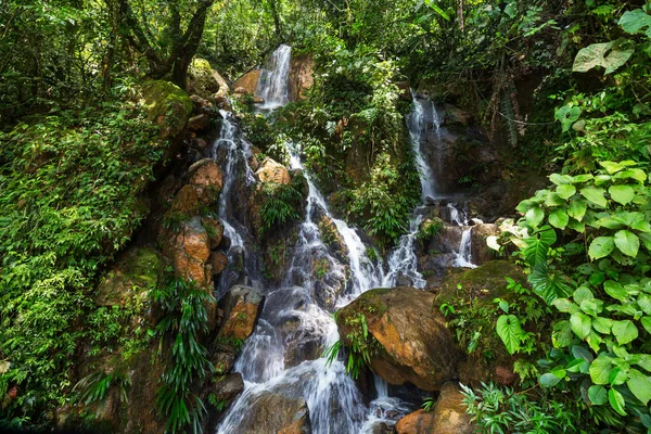 美丽的瀑布在绿色丛林 哥伦比亚 南美洲 — 图库照片