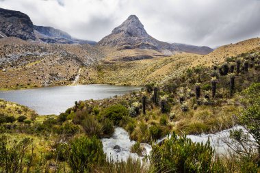 El Cocuy Ulusal Parkı 'nın güzel manzarası, Kolombiya, Güney Amerika
