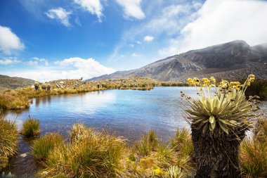 El Cocuy Ulusal Parkı 'nın güzel manzarası, Kolombiya, Güney Amerika