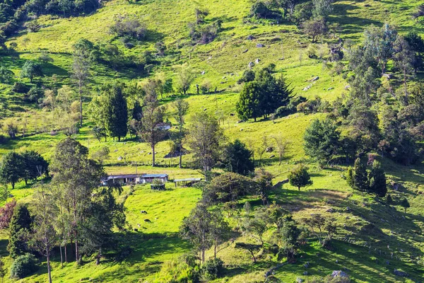 Landsbygdslandskap Gröna Colombiska Berg — Stockfoto