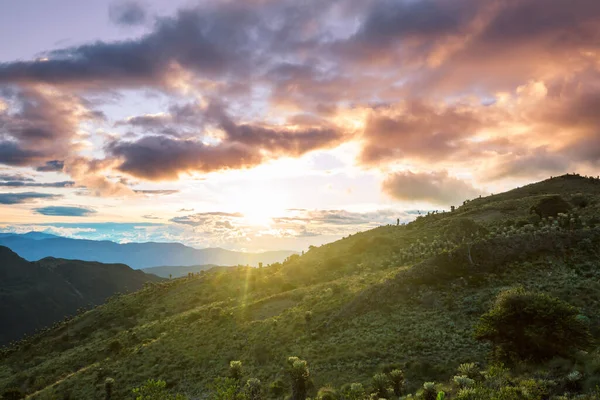 Belle Alte Montagne Colombia — Foto Stock