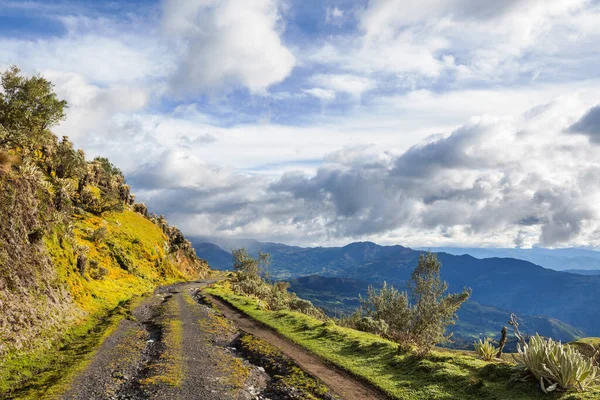 Dağlarda Manzaralı Bir Yol Seyahat Arkaplanı — Stok fotoğraf