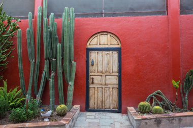 Tahta kapı ve önünde bir sürü kaktüs. Guanajuato, Meksika 'daki mimaride tipik yoğun renkler.