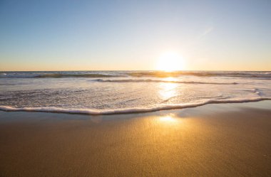 Meksika, Baja California 'daki Kaktüs tarlaları