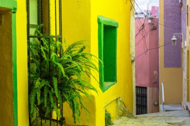 Meksika 'nın Guanajuato kasabasının renkli koloni tarzı evleri.