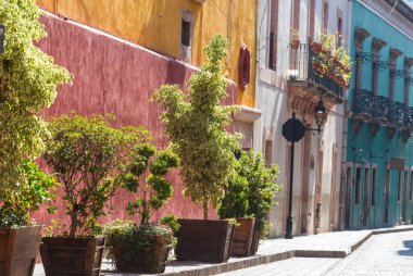 Meksika 'nın Guanajuato kasabasının renkli koloni tarzı evleri.