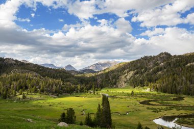 Fresh stream in high mountains