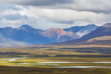Kutup dairesinin üstündeki Tundra manzaraları