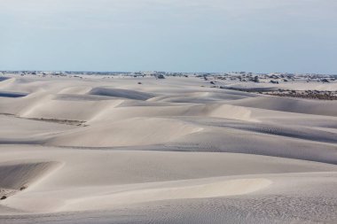 New Mexico, ABD 'deki White Sands Kumulları' ndaki alışılmadık doğal manzaralar.