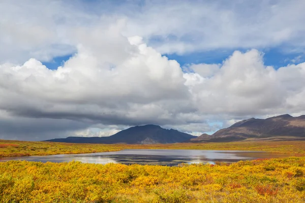 Tundra Landscapes Arctic Circle Autumn Season Beautiful Natural Background — стокове фото