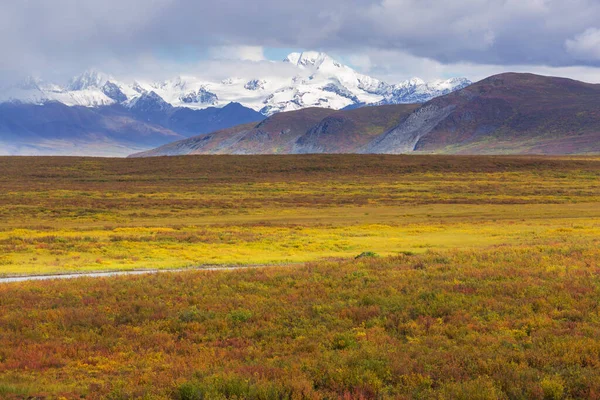 Tundra Landscapes Arctic Circle Autumn Season Beautiful Natural Background — стоковое фото