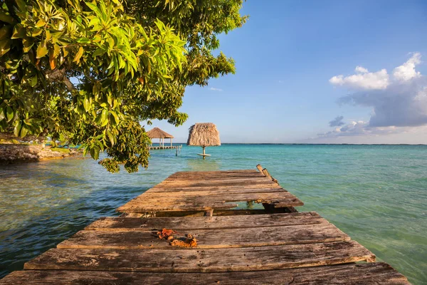 Boardwalk Tropical Beach — Stockfoto