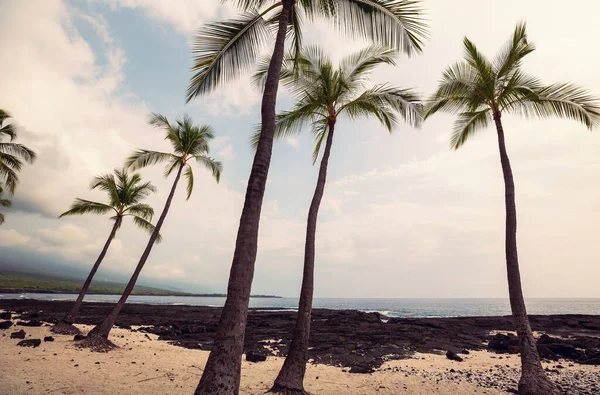 Tropiska Landskap Hawaii — Stockfoto