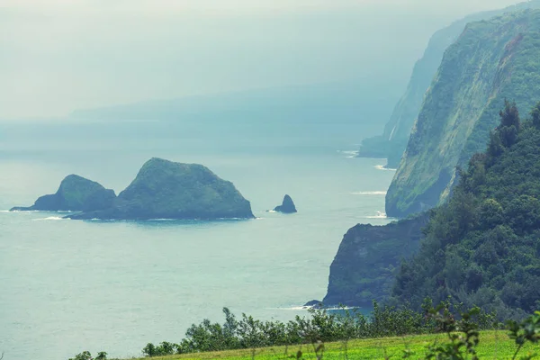 Тропические Пейзажи Острова Гавайи — стоковое фото