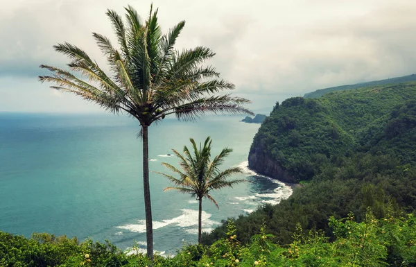 夏威夷岛的热带地貌 — 图库照片