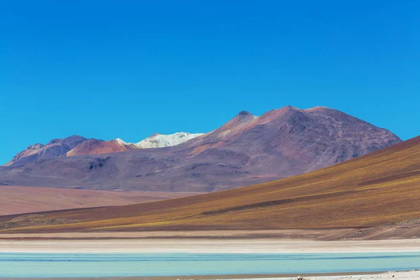 ボリビアの珍しい山の風景Altiplano旅行冒険南アメリカ — ストック写真