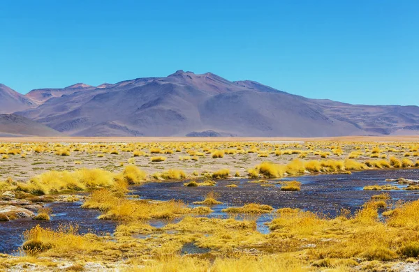 Ovanliga Berg Landskap Bolivia Altiplano Resor Äventyr Sydamerika — Stockfoto