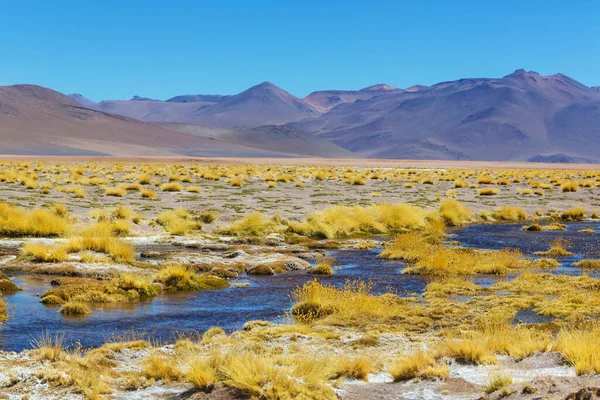 Незвичайні Пейзажі Болівійських Альтіплано Мандрують Південною Америкою — стокове фото