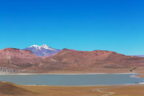 Lanskap Pegunungan Yang Tidak Biasa Bolivia Perjalanan Altiplano Petualangan Amerika — Stok Foto