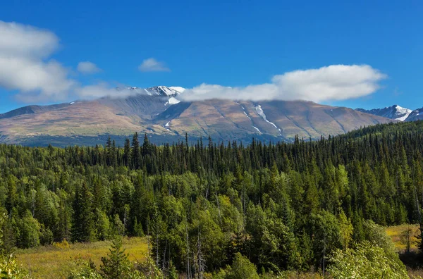 Malebný Pohled Hory Kanadských Skalách Letní Sezóně — Stock fotografie