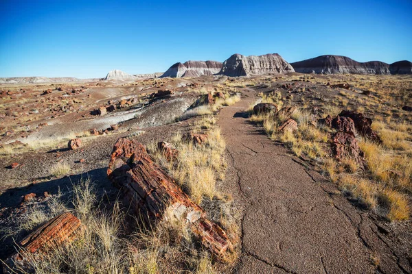 Nationaalpark Petrified Forest Arizona — Stockfoto