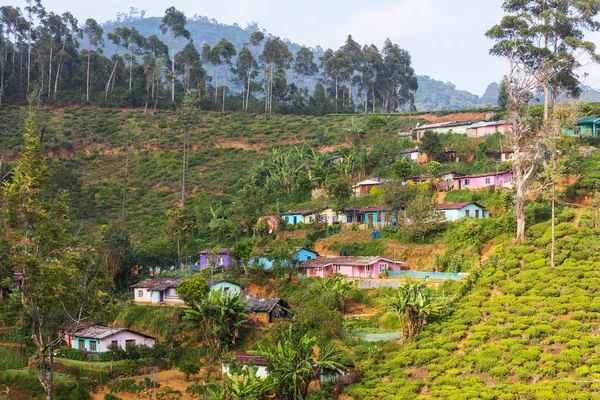 Traditionelles Dorf Auf Sri Lanka — Stockfoto