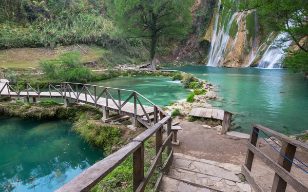 Krásný Vodopád Džungli Mexiko — Stock fotografie