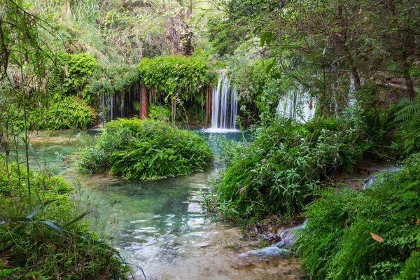 Beautiful Waterfall Jungle Mexico — Stock Photo, Image