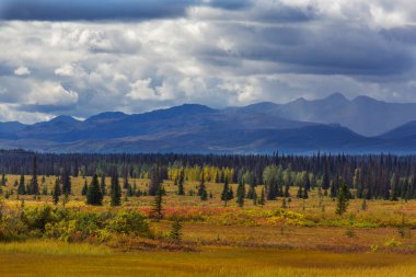 Tundra landscapes above Arctic circle in autumn season. Beautiful natural background.