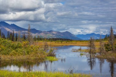 Tundra landscapes above Arctic circle in autumn season. Beautiful natural background.