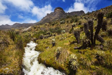El Cocuy Ulusal Parkı 'nın güzel manzarası, Kolombiya, Güney Amerika