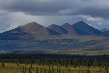 Yazın Alaska 'nın Picturesque Dağları. Kar, kütleleri, buzulları ve kayalık tepeleri kapladı. Güzel doğal arkaplan.
