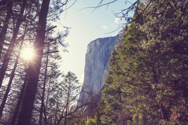 Güzel Yosemite Ulusal Parkı manzaraları, California