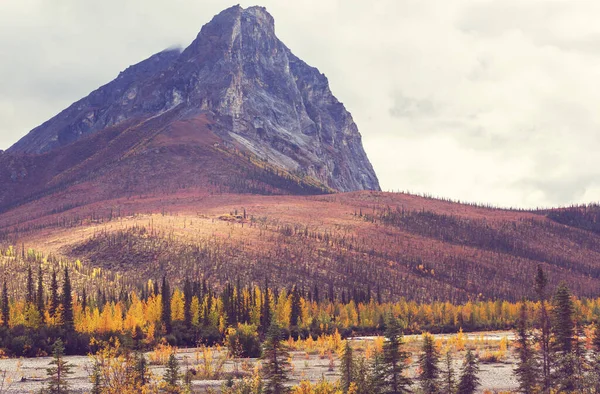 山の中でカラフルな秋の季節 — ストック写真