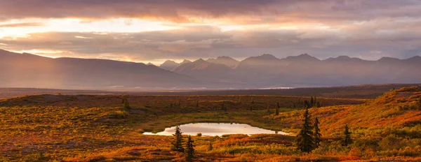 Tundra Landscapes Arctic Circle Autumn Season Beautiful Natural Background — Fotografie, imagine de stoc