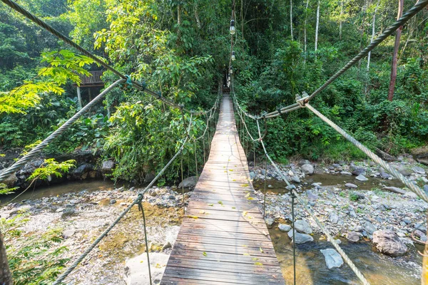 Puente Colgante Selva Tropical —  Fotos de Stock