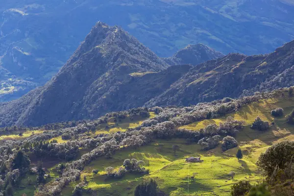 Paisajes Rurales Verdes Montañas Colombianas —  Fotos de Stock