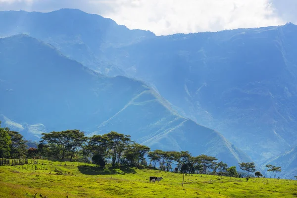 Αγροτικά Τοπία Στο Πράσινο Βουνά Colombian — Φωτογραφία Αρχείου
