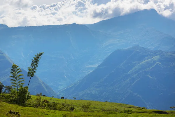 Ländliche Landschaften Grünen Kolumbianischen Bergen — Stockfoto