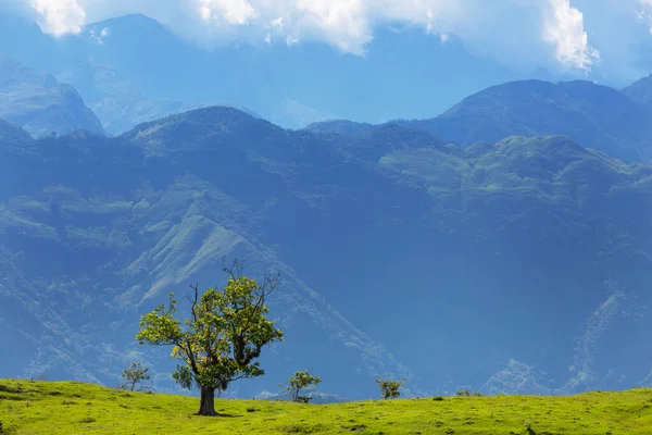 Paesaggi Rurali Nelle Verdi Montagne Colombiane — Foto Stock