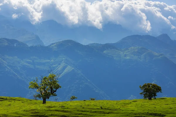 緑のコロンビアの山々の農村風景 — ストック写真