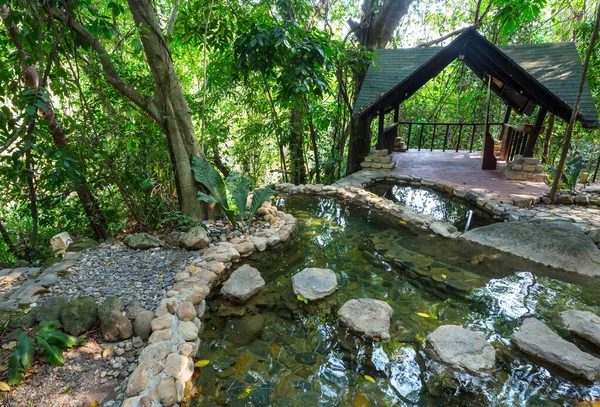 Luna Jaguar Hot Springs Hondurasie — Zdjęcie stockowe